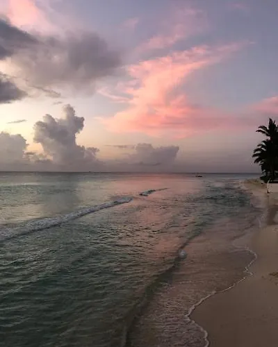 Casa Moskito * Playa del Carmen